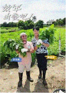 旅行纪实综艺标本条目抽屉封面与数据回填标识